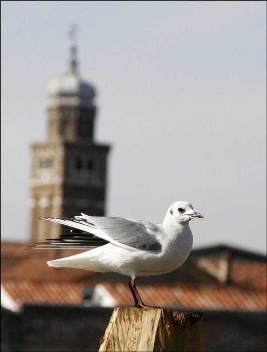 _MG_4417 Kopie_galerie.jpg